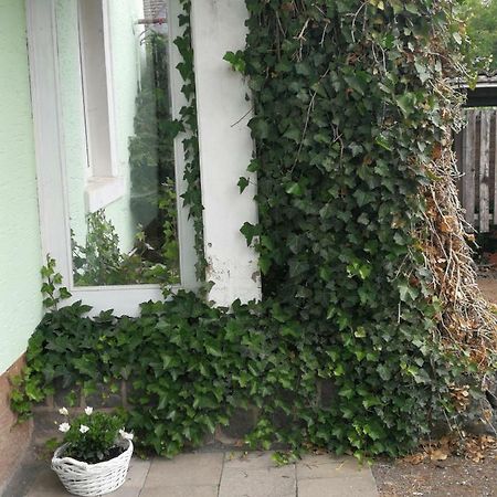Appartement Eifel Im Haus Sybille Kelberg Exterior foto